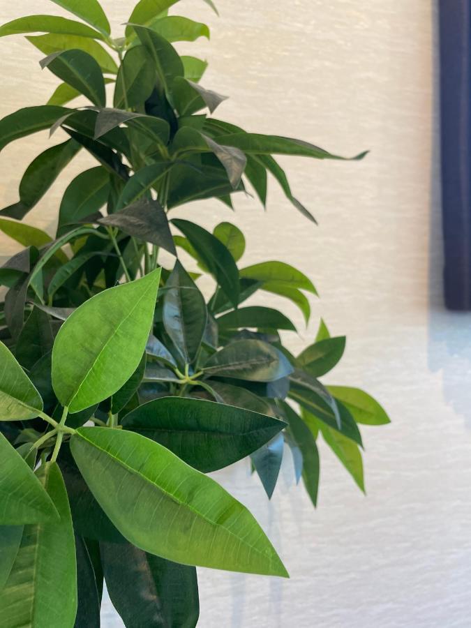 Niseko Hotel Kiraku Kou Kültér fotó